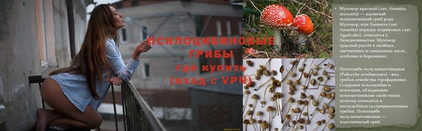 марки lsd Богородицк
