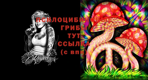 гидропоника Богородск